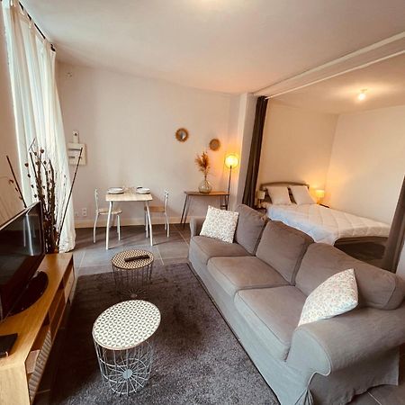 L'Albuconis 1 Grand Studio 오뷔송 외부 사진